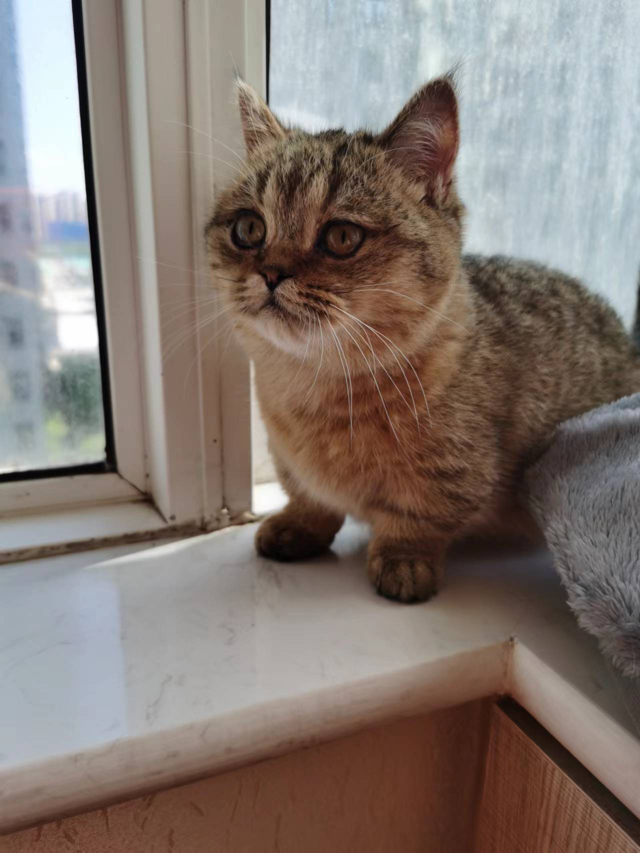 The cute cat went to sleep :)